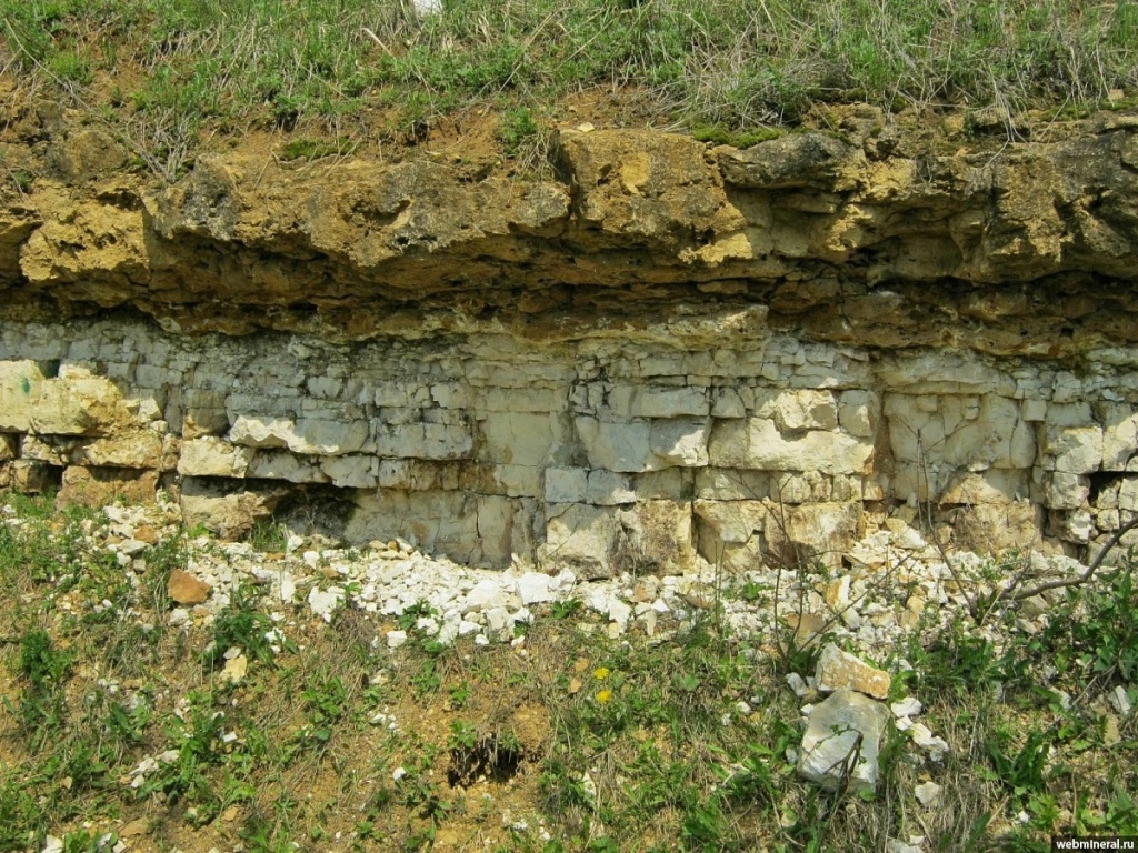 QghOvuwRQWE.jpg